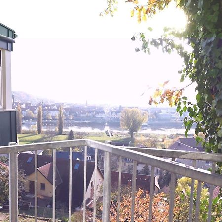 Vogelnest Apartman Pirna Kültér fotó